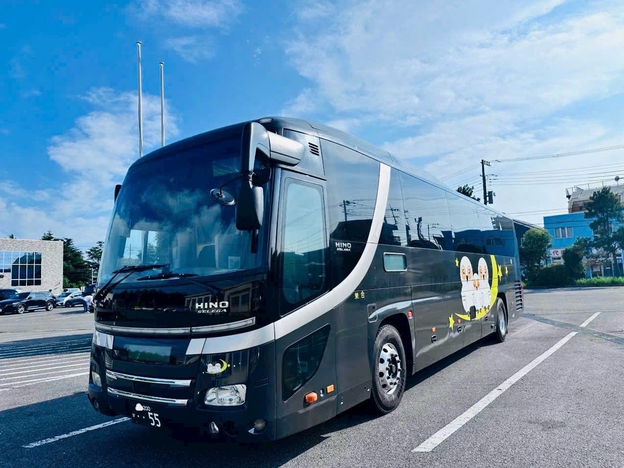 Narita Airport to Tokyo by private coach